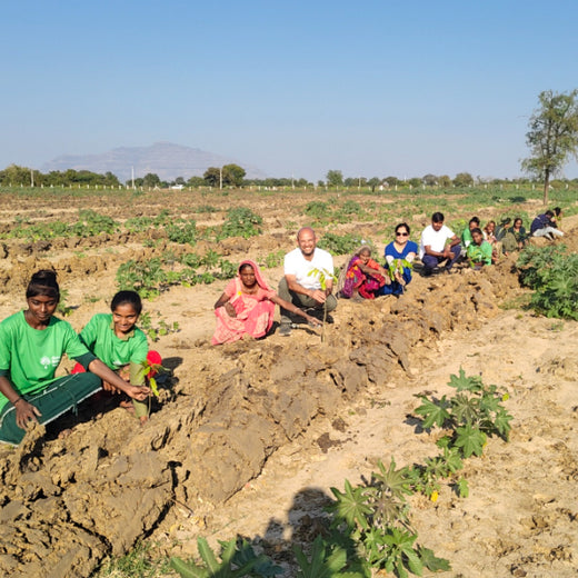 Apollo Tyres: Growing Livelihoods and Green Cover in Gujarat – 2 years