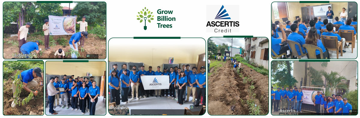 Ascertis Credit’s Eco Initiative: Growing a Better Tomorrow