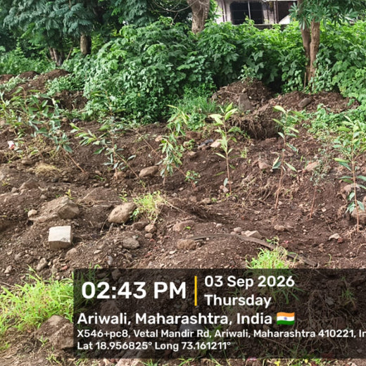 Ascertis Credit’s Eco Initiative: Growing a Better Tomorrow – 6 months