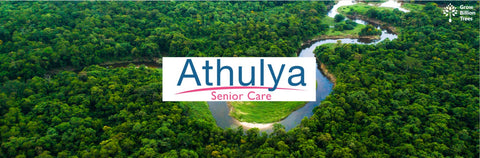 Enhancing Lives and Livelihoods: Athulya Senior Care’s Tree Plantation for a Greener Future