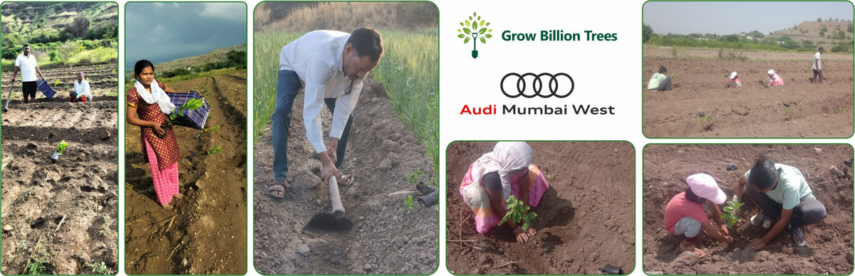 Shifting Gears Towards Green: Audi Mumbai West Plants for the Planet