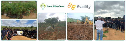 Healing the Planet: Availity India Cultivates a Greener Tomorrow