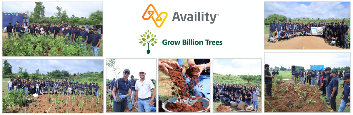 Healing the Planet: Availity India Cultivates a Greener Tomorrow
