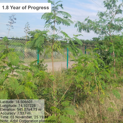 Azbil's Urban Forest Initiative: Empowering Employees, Enriching Ecosystems – 1 year
