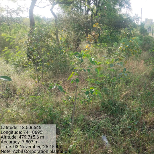 Azbil's Urban Forest Initiative: Empowering Employees, Enriching Ecosystems – 1 year