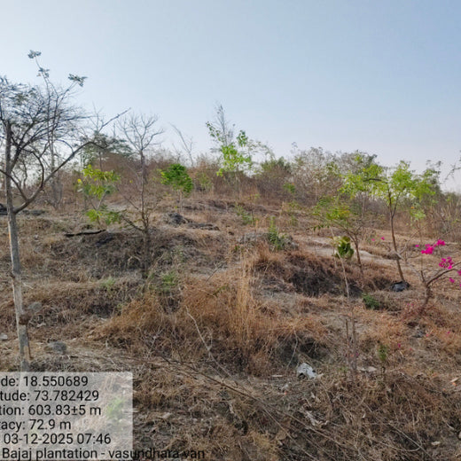 Planting a Greener Future: Bajaj Allianz General Insurance’s Vision – 6 months