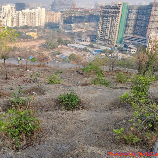 Growing for Good: Bajaj Allianz Life Insurance's Greening Mission – 6 months