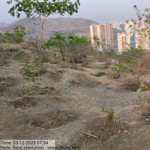 Growing for Good: Bajaj Allianz Life Insurance's Greening Mission – 6 months