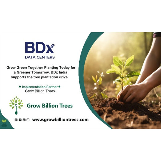 BDx India’s Agroforestry in Maharashtra:Cultivating Sustainability – Planting
