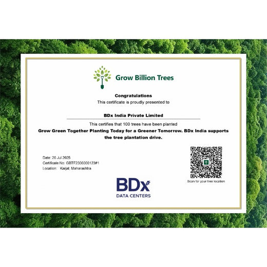 BDx India’s Agroforestry in Maharashtra:Cultivating Sustainability – Planting
