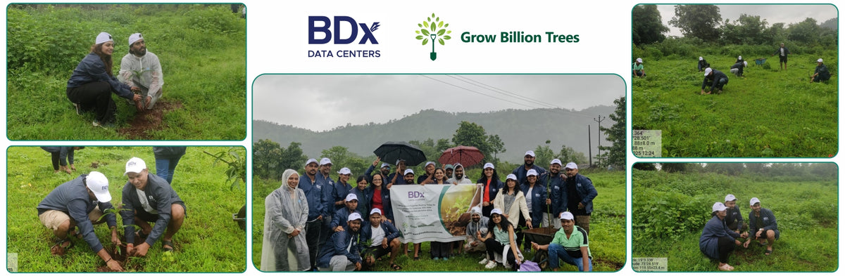 BDx India’s Agroforestry in Maharashtra:Cultivating Sustainability