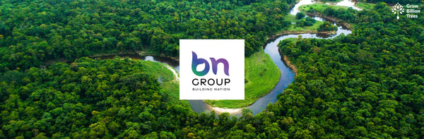 Urban Renewal Through Trees: BN Group's Urban Forest CSR Initiative