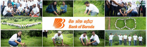 A Century and Beyond: Bank of Baroda's Green Celebration for 117 Years