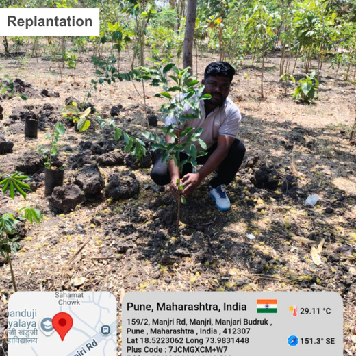 Engineering Green Futures: BPW India’s “Grow a Tree” Urban Forest – 6 months