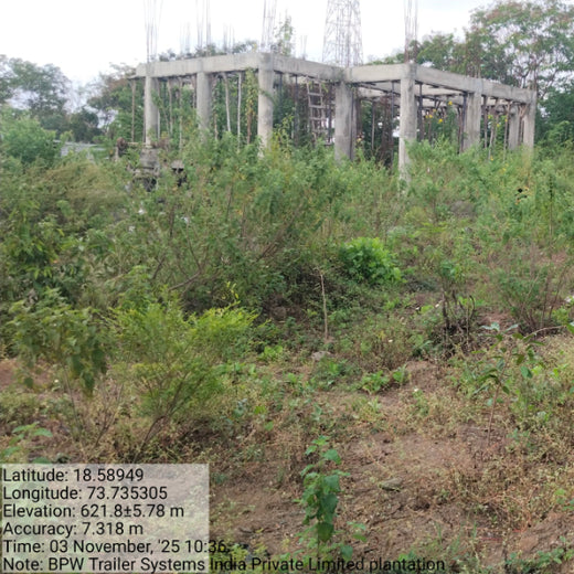 Engineering Green Futures: BPW India’s “Grow a Tree” Urban Forest – 6 months