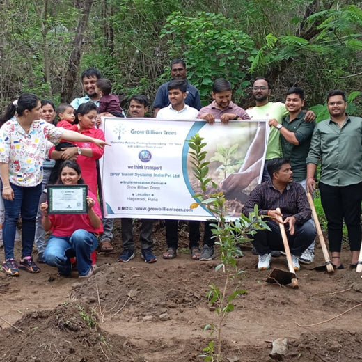 Engineering Green Futures: BPW India’s “Grow a Tree” Urban Forest – Planting