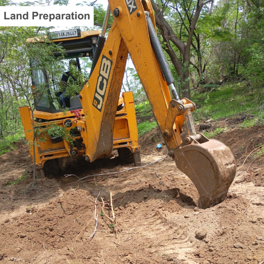 Engineering Green Futures: BPW India’s “Grow a Tree” Urban Forest – Planting