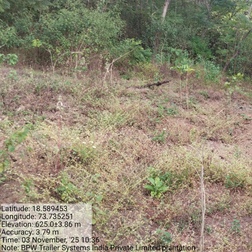 Engineering Green Futures: BPW India’s “Grow a Tree” Urban Forest – 6 months