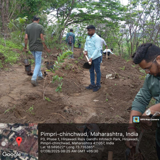 Engineering Green Futures: BPW India’s “Grow a Tree” Urban Forest – Planting