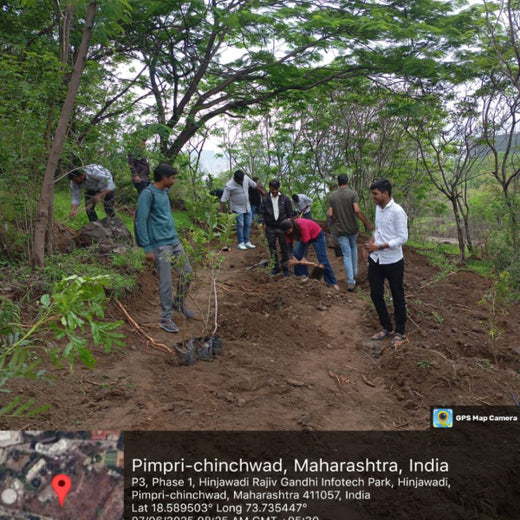 Engineering Green Futures: BPW India’s “Grow a Tree” Urban Forest – Planting