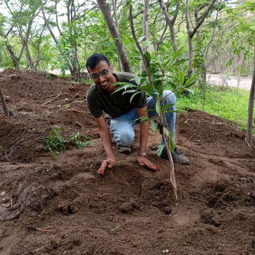 Engineering Green Futures: BPW India’s “Grow a Tree” Urban Forest – Planting