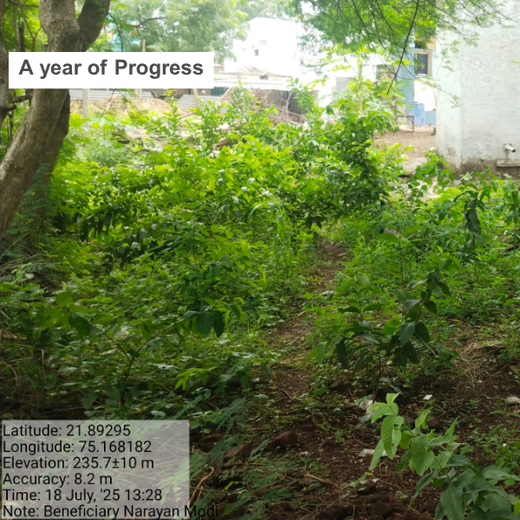 Backyard Biodiversity: Courtyard Plantation by Grow Billion Trees – Planting