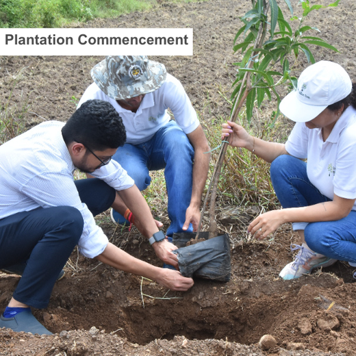 Agroforestry for a Sustainable Tomorrow: Bajaj Allianz General Insurance's ESG Initiative – 6 months