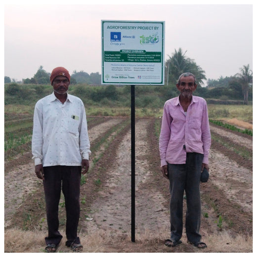 Agroforestry for a Sustainable Tomorrow: Bajaj Allianz General Insurance's ESG Initiative – 1 year