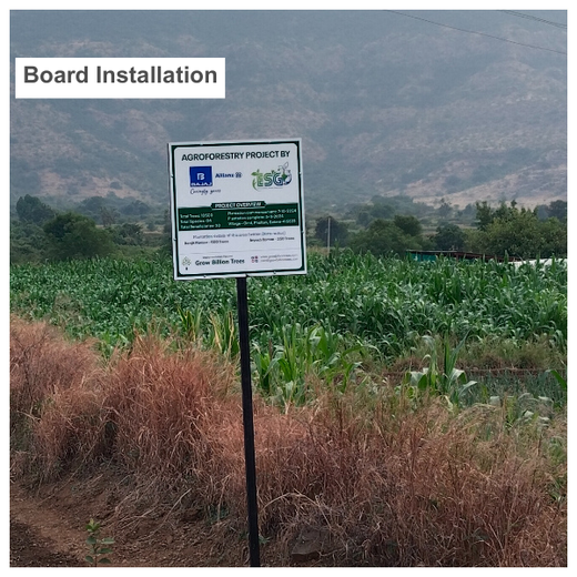 Agroforestry for a Sustainable Tomorrow: Bajaj Allianz General Insurance's ESG Initiative – 1 year