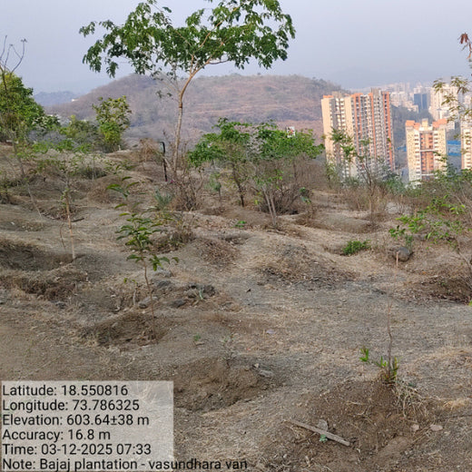 Planting a Greener Future: Bajaj Allianz General Insurance’s Vision – 6 months