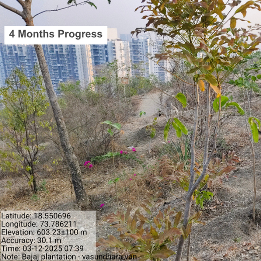 Planting a Greener Future: Bajaj Allianz General Insurance’s Vision – 6 months