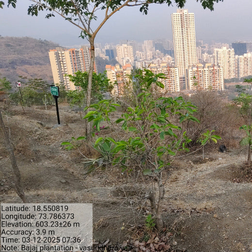 Planting a Greener Future: Bajaj Allianz General Insurance’s Vision – 6 months