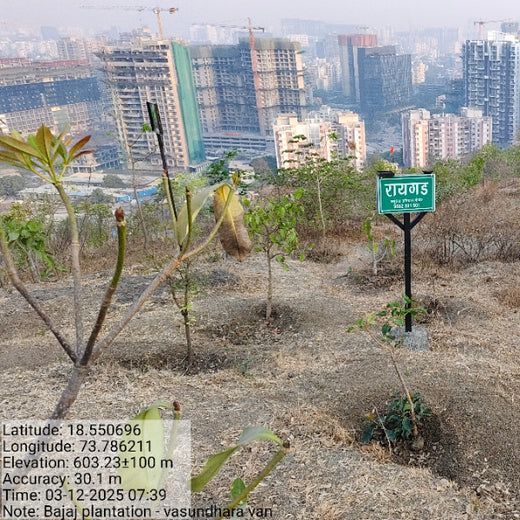 Planting a Greener Future: Bajaj Allianz General Insurance’s Vision – 6 months
