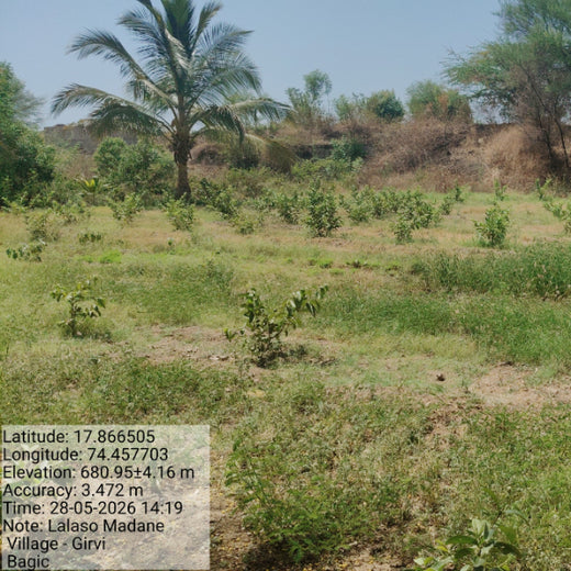 Agroforestry for a Sustainable Tomorrow: Bajaj Allianz General Insurance's ESG Initiative – 3 years
