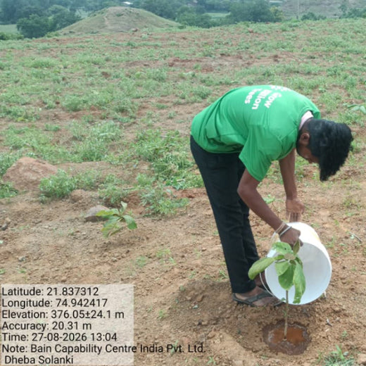 Bain Capability Centre India Pvt. Ltd: Trees Today, A Greener Tomorrow – Planting