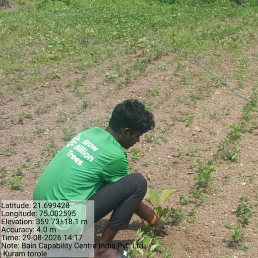 Bain Capability Centre India Pvt. Ltd: Trees Today, A Greener Tomorrow – Planting