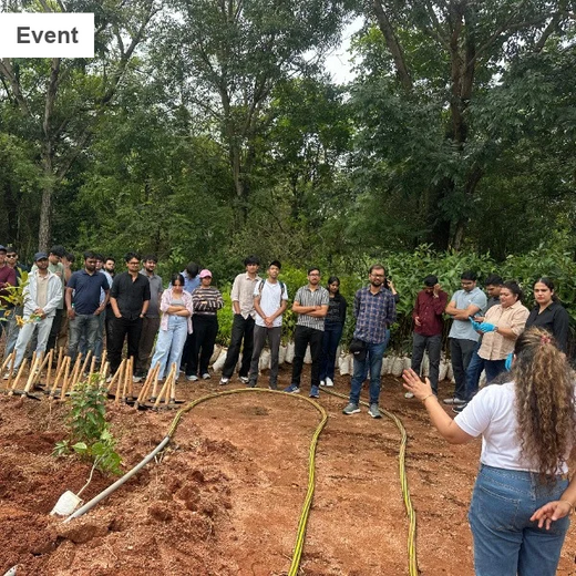 Bain Capability Centre India Pvt. Ltd: Trees for a Greener Bengaluru – 6 months