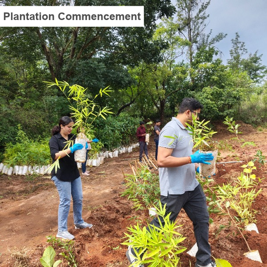 Bain Capability Centre India Pvt. Ltd: Trees for a Greener Bengaluru – 6 months