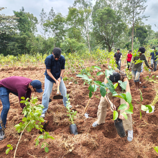 Bain Capability Centre India Pvt. Ltd: Trees for a Greener Bengaluru – 6 months