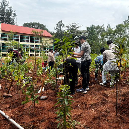 Bain Capability Centre India Pvt. Ltd: Trees for a Greener Bengaluru – 6 months
