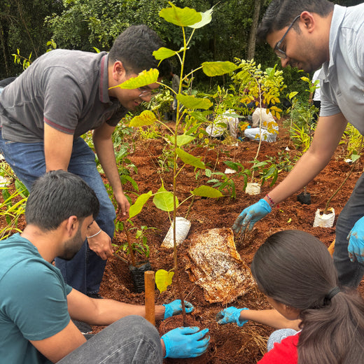 Bain Capability Centre India Pvt. Ltd: Trees for a Greener Bengaluru – 6 months