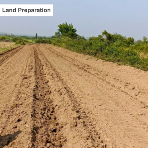 Growing Green: Bajaj Allianz Life Insurance’s Agroforestry Initiative – Planting