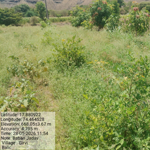 Growing Green: Bajaj Allianz Life Insurance’s Agroforestry Initiative – 2 years