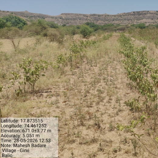 Growing Green: Bajaj Allianz Life Insurance’s Agroforestry Initiative – 2 years