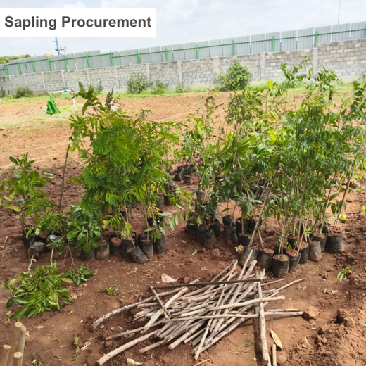 Bekaert Eco-Solutions: Nurturing Nature, Supporting Communities – Planting