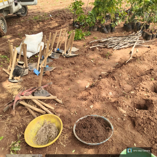 Bekaert Eco-Solutions: Nurturing Nature, Supporting Communities – Planting