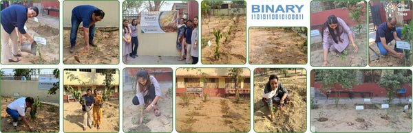 Greener Cities, Healthier Communities: Binary Global’s Eco-Friendly CSR Initiative