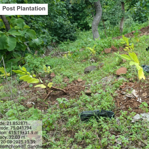 Blithchron 2025 at IIT Gandhinagar: Sustainability Run for Earth – Planting