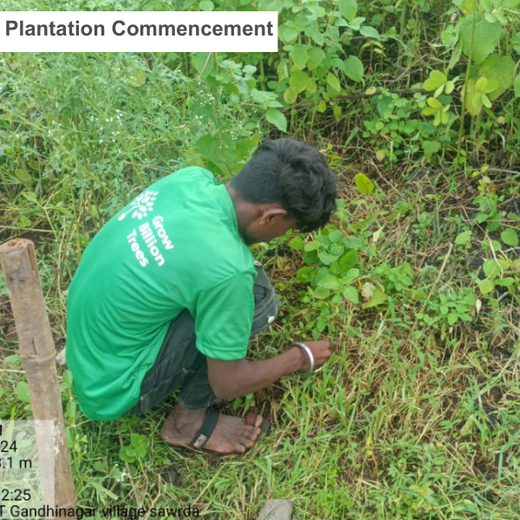 Blithchron 2025 at IIT Gandhinagar: Sustainability Run for Earth – Planting