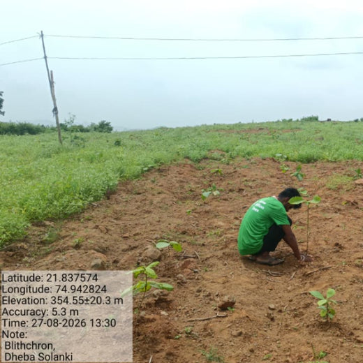 Blithchron’s Ananta: Running Towards a Greener Tomorrow – Planting
